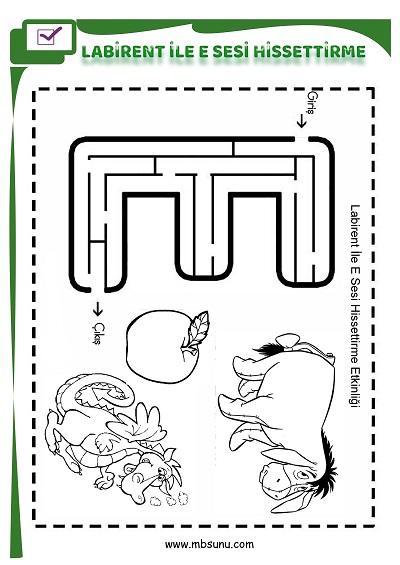1. Sınıf İlk Okuma Labirent İle E Sesi Hissettirme Etkinliği
