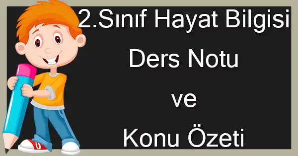 2. Sınıf Hayat Bilgisi - Çevre Şartları - Ders Notu