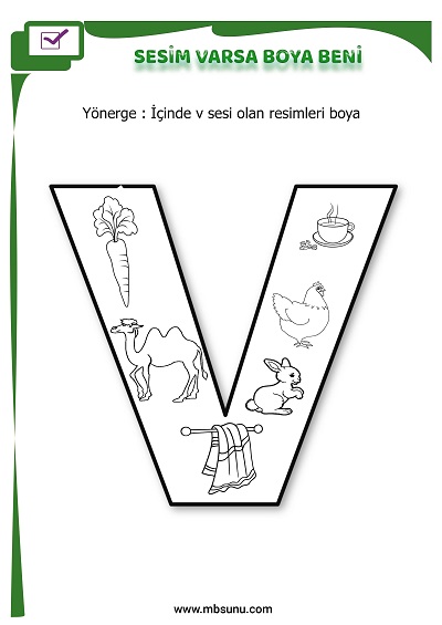 1. Sınıf İlk Okuma V Sesi - Sesim Varsa Boya Beni Etkinliği