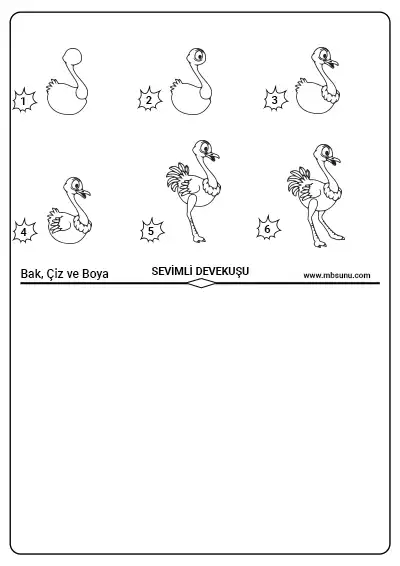 Bak, Çiz ve Boya Etkinliği - Sevimli Devekuşu