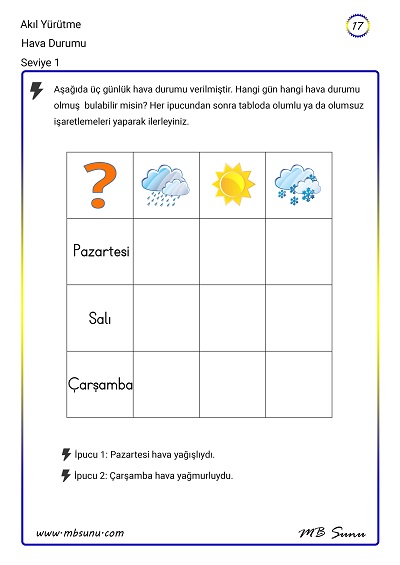 Seviye 1 - Akıl Yürütme Zeka Etkinliği 17