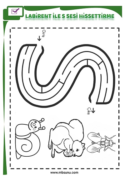 1. Sınıf İlk Okuma Labirent İle S Sesi Hissettirme Etkinliği