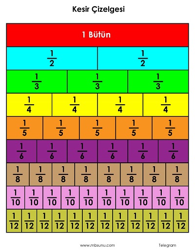 3. Sınıf Matematik - Kesir Çizelgesi