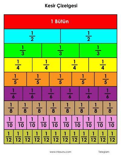 3. Sınıf Matematik - Kesir Çizelgesi