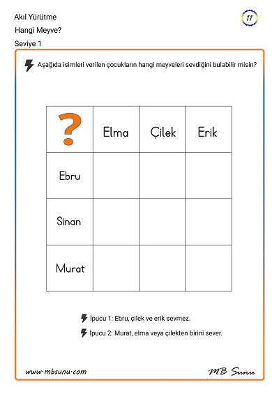 Seviye 1 - Akıl Yürütme Zeka Etkinliği 11