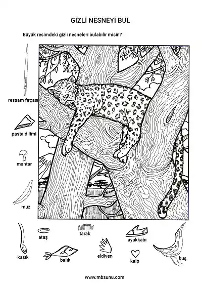 Çita Kestirirken - Gizli Nesneyi Bulma Etkinliği