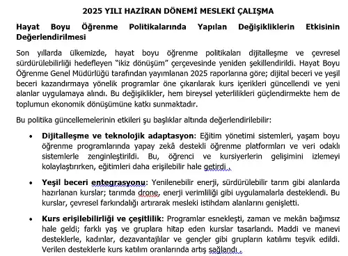2025 Hayat Boyu Öğrenme Mesleki Çalışma: Hayat Boyu Öğrenme Politikalarında Yapılan Değişikliklerin Etkisinin Değerlendirilmesi