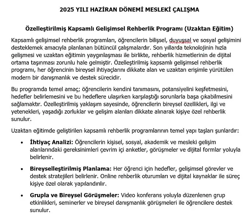 2025 Lise Mesleki Çalışma: Özelleştirilmiş Kapsamlı Gelişimsel Rehberlik Programı (Uzaktan Eğitim)