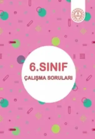 6. Sınıf Çalışma Soruları (Meb Yayınları)