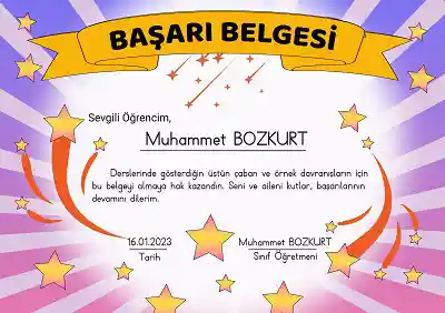 Düzenlenebilir, Yıldızlı Başarı Belgesi