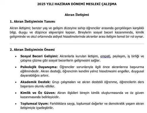 2025 Lise Mesleki Çalışma: Akran İletişimi