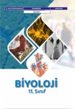 2024-2025 Yılı Fen Lisesi 11.Sınıf Biyoloji Ders Kitabı