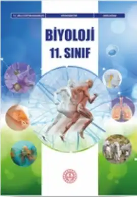 11. Sınıf Biyoloji Ders Kitabı (Meb - Yeni) pdf indir