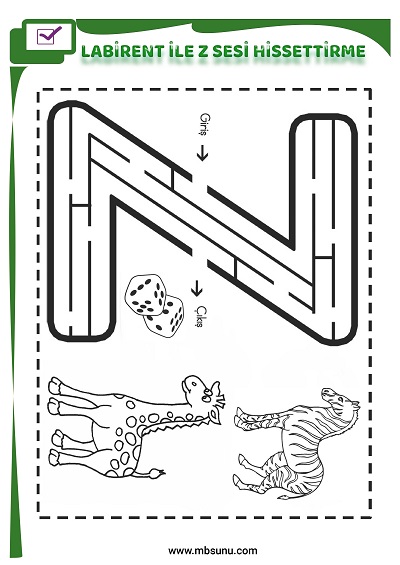 1. Sınıf İlk Okuma Labirent İle Z Sesi Hissettirme Etkinliği