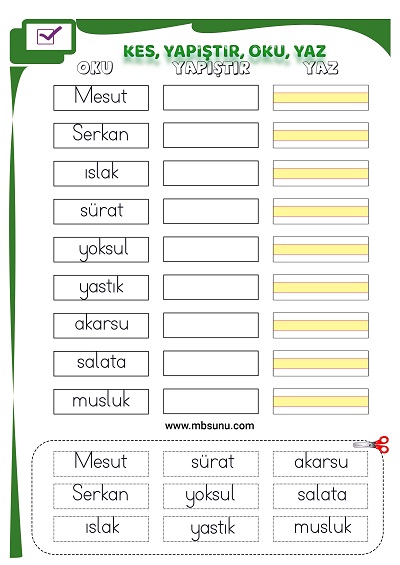 1. Sınıf İlk Okuma S Sesi - Kes Yapıştır Oku Yaz Etkinliği