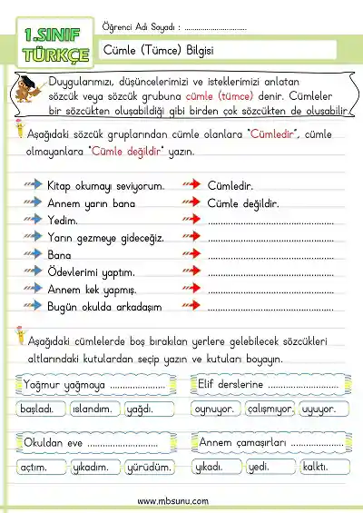 1. Sınıf Türkçe - Cümle Bilgisi Etkinliği