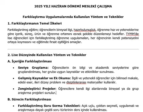 2025 Lise Mesleki Çalışma: Farklılaştırma Uygulamalarında Kullanılan Yöntem ve Teknikler