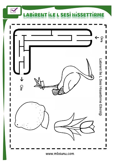 1. Sınıf İlk Okuma Labirent İle L Sesi Hissettirme Etkinliği