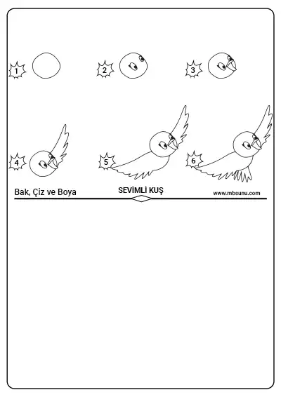 Bak, Çiz ve Boya Etkinliği - Sevimli Kuş