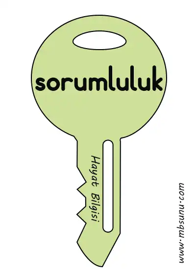2024 - 2025 Yılı 2. Sınıf 6. Hafta Konularına Yönelik Anahtar Sözcük Şablonları