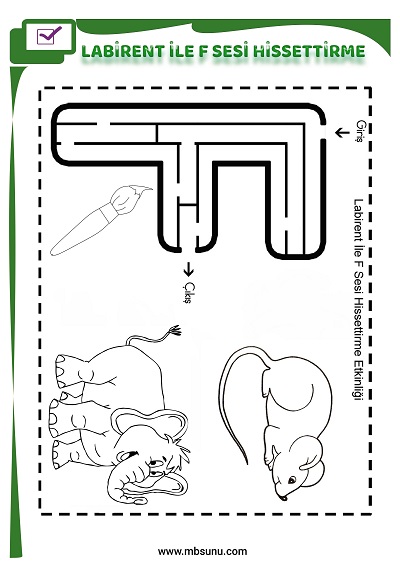 1. Sınıf İlk Okuma Labirent İle F Sesi Hissettirme Etkinliği