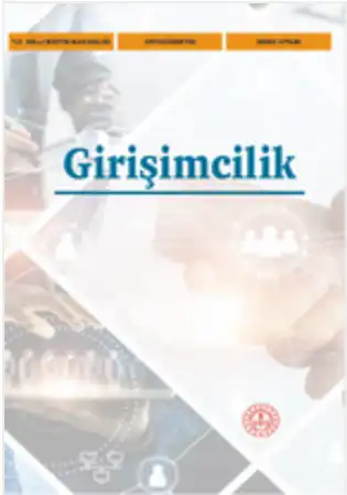 2024-2025 Yılı Lise Girişimcilik Ders Kitabı (Meb Yayınları)