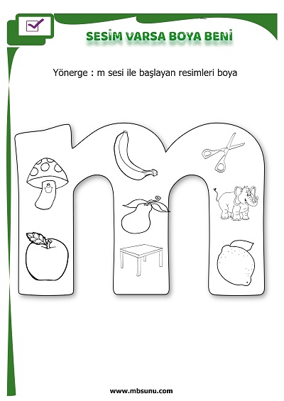 1. Sınıf İlk Okuma M Sesi - Sesim Varsa Boya Beni Etkinliği