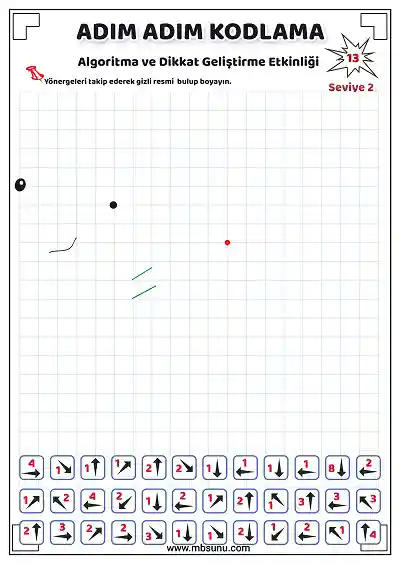 Seviye 2 - Kodlama Etkinliği 13