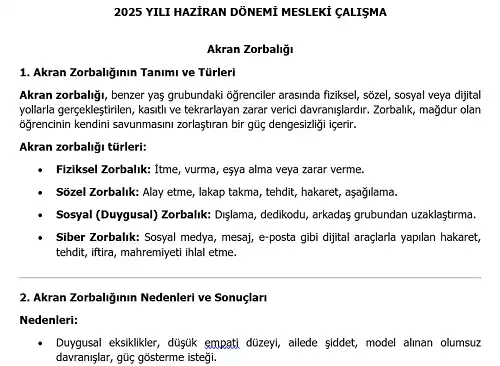 2025 Lise Mesleki Çalışma: Akran Zorbalığı