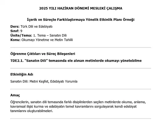 2025 Lise Mesleki Çalışma: İçerik ve Süreçte Farklılaştırmaya Yönelik Türk Dili ve Edebiyatı Etkinlik Planı Örneği
