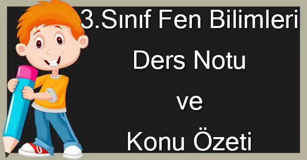 3. Sınıf Fen Bilimleri - Ben Ve Çevrem Ders Notu