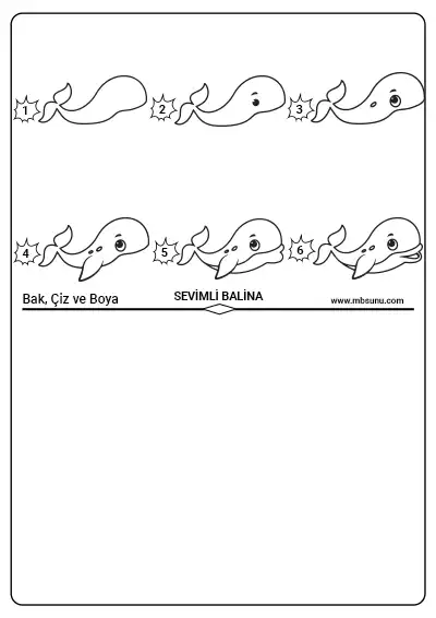 Bak, Çiz ve Boya Etkinliği - Sevimli Balina