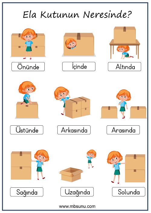 1. Sınıf Matematik - Uzamsal İlişkiler - Ela Kutunun Neresinde Afişi