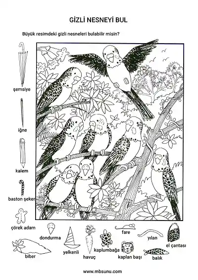 Kuşlar Toplantıda - Gizli Nesneyi Bulma Etkinliği