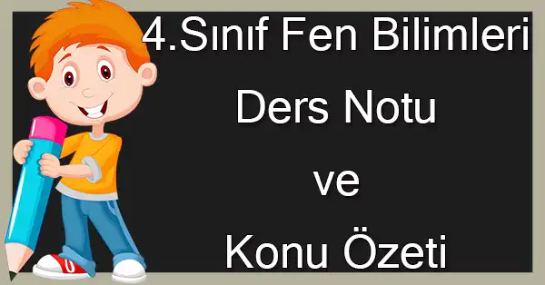 4. Sınıf Fen Bilimleri - Bilinçli Tüketici Ders Notu