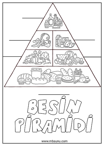 4. Sınıf Fen Bilimleri - Besin Piramidi Boyama