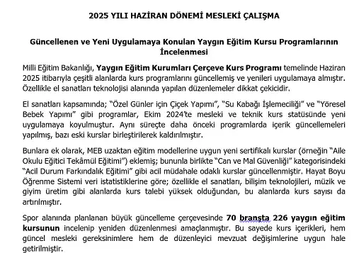 2025 Hayat Boyu Öğrenme Mesleki Çalışma: Güncellenen ve Yeni Uygulamaya Konulan Yaygın Eğitim Kursu Programlarının İncelenmesi