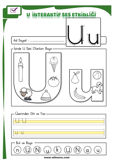 1. Sınıf İlk Okuma İnteraktif U Sesi Etkinliği 2