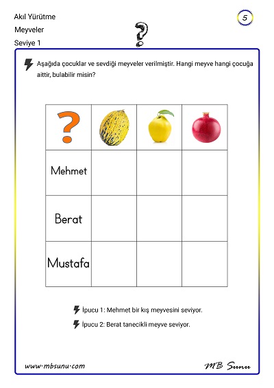 Seviye 1 - Akıl Yürütme Zeka Etkinliği 5