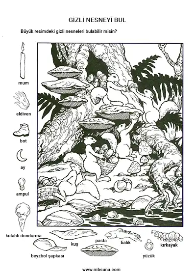 Fındıkçı Sincaplar - Gizli Nesneyi Bulma Etkinliği