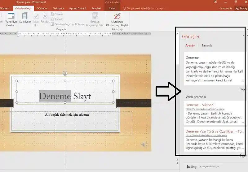 Powerpoint Görüş Görev paneli
