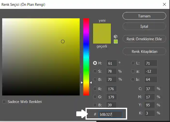 Hex Renk Modeli