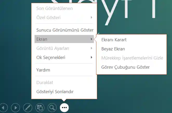 Slayt Gösterisi görünümünde daha fazla seçenek