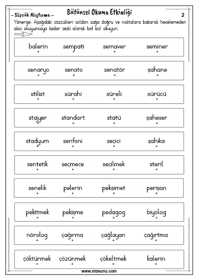 Bütünsel Okuma Etkinliği - Sözcük Alıştırma 2