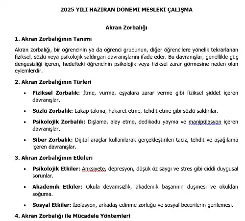2025 İlkokul Mesleki Çalışma: Akran Zorbalığı
