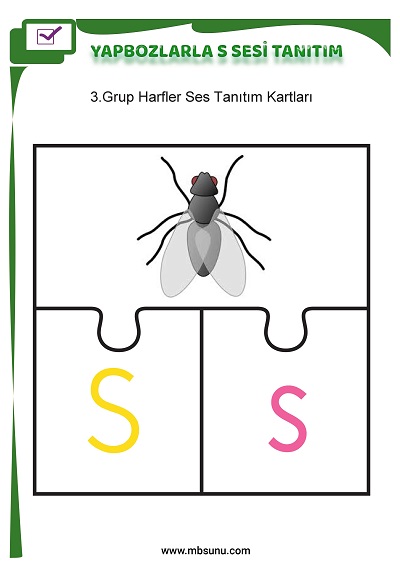 1. Sınıf İlk Okuma Yapbozlarla S Sesi Tanıtım Etkinliği
