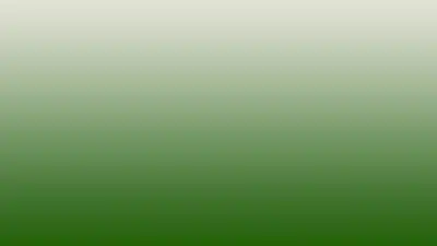 Misty Meadow - Trend HD Gradyan Arka Plan