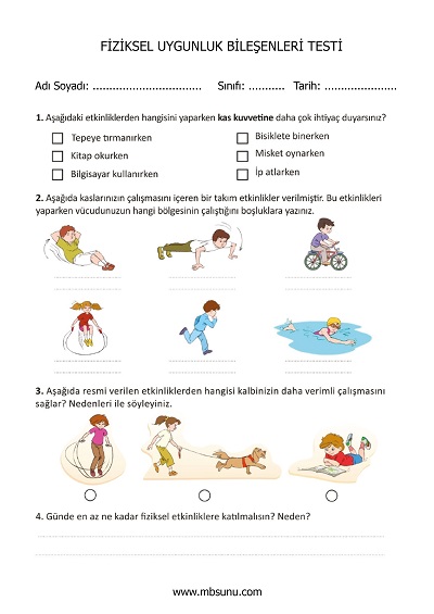 3.Sınıf Beden Eğitimi ve Oyun - Fiziksel Uygunluk Bileşenleri Testi