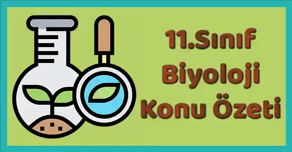 11. Sınıf Biyoloji - 2. Ünite (Komünite ve Popülasyon Ekolojisi) Konu Özeti (Tuna Yayınları)