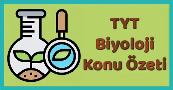9. Sınıf Biyoloji - 1. Ünite (1. Tema) Yaşam Konu Özeti (Meb)